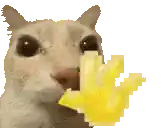 concac
