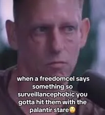 palantir stare